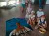 IMG-20220617-WA0012